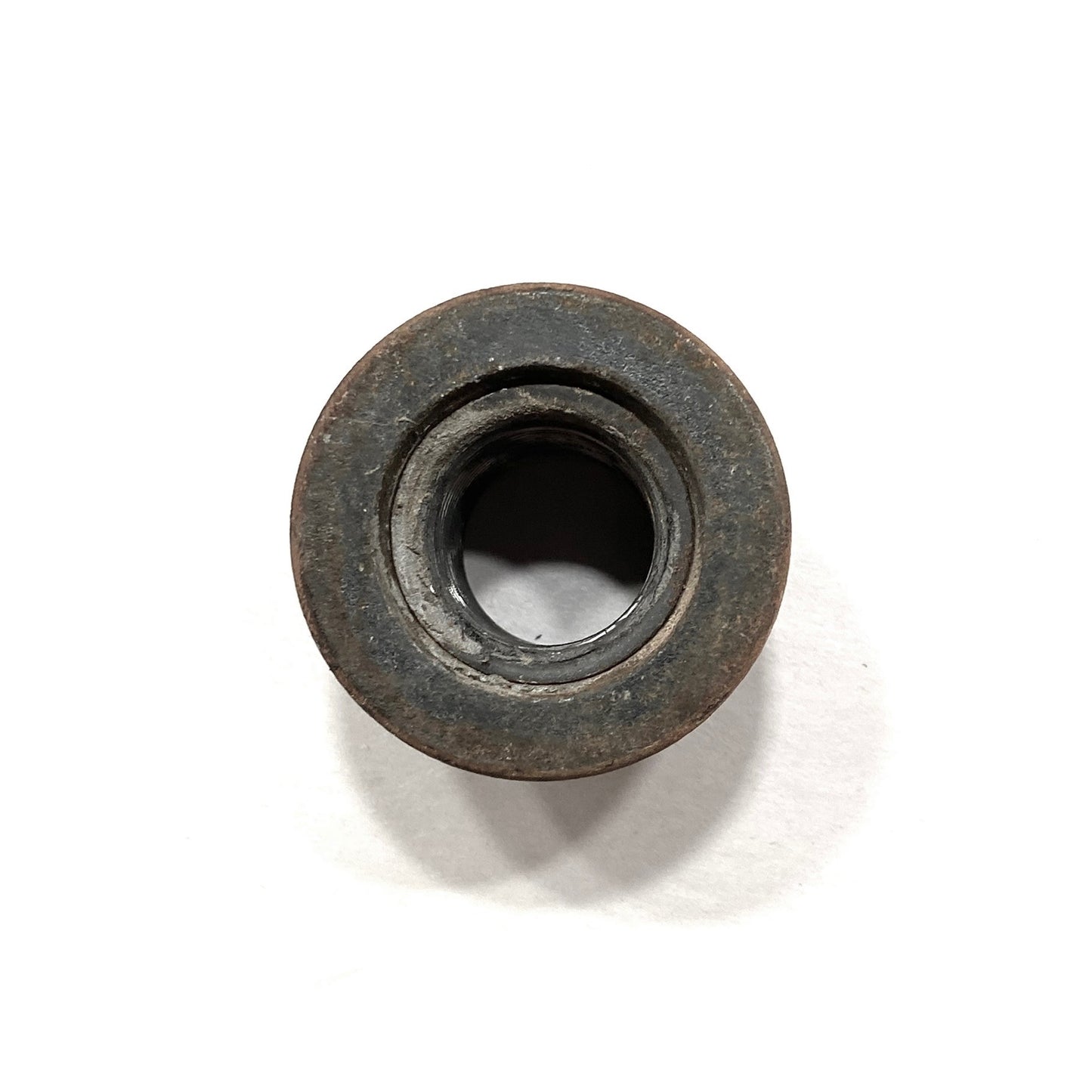 Securex 39702 Trailer Wheel Lug Nut M22 x 1.5