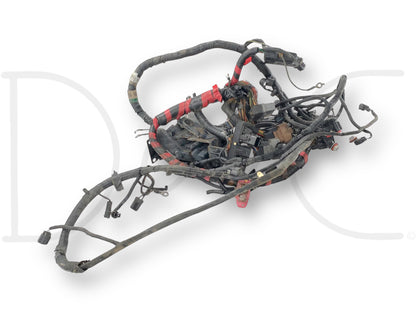 1999 Ford F350 XLT 7.3 Diesel Front Body Wiring Harness F81A-12A581-P260F *Blem*