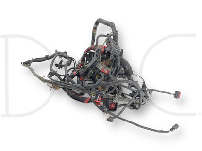 1999 Ford F350 XLT 7.3 Diesel Front Body Wiring Harness F81A-12A581-P260F *Blem*