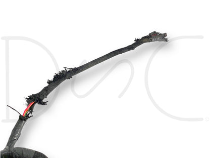 06 Ford F250 F350 King Ranch Crew Cab Interior Wiring Harness 6C3T-14A005-P260X