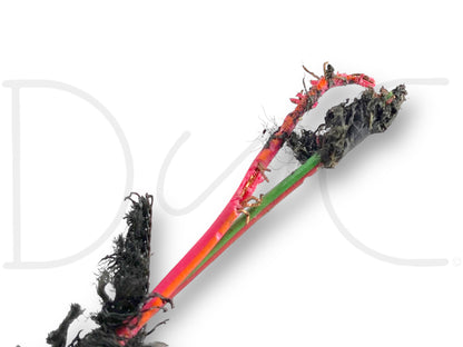 06 Ford F250 F350 King Ranch Crew Cab Interior Wiring Harness 6C3T-14A005-P260X
