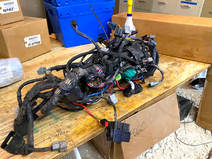 05-06 Ford F250 F350 6.0 6.0L Diesel Dash Wiring Harness 5C3T-14401-P260Z Ny