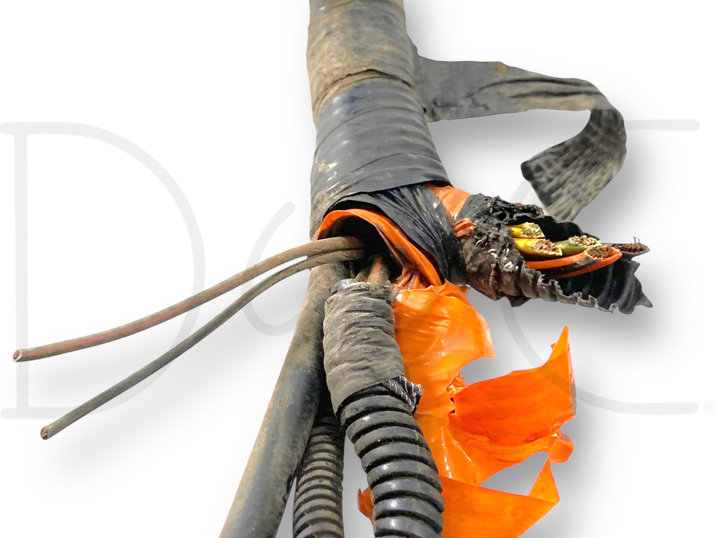 2000 Ford F250 F350 7.3 Diesel ZF6 Front Body Wiring Harness YC3T-12A581-P260F