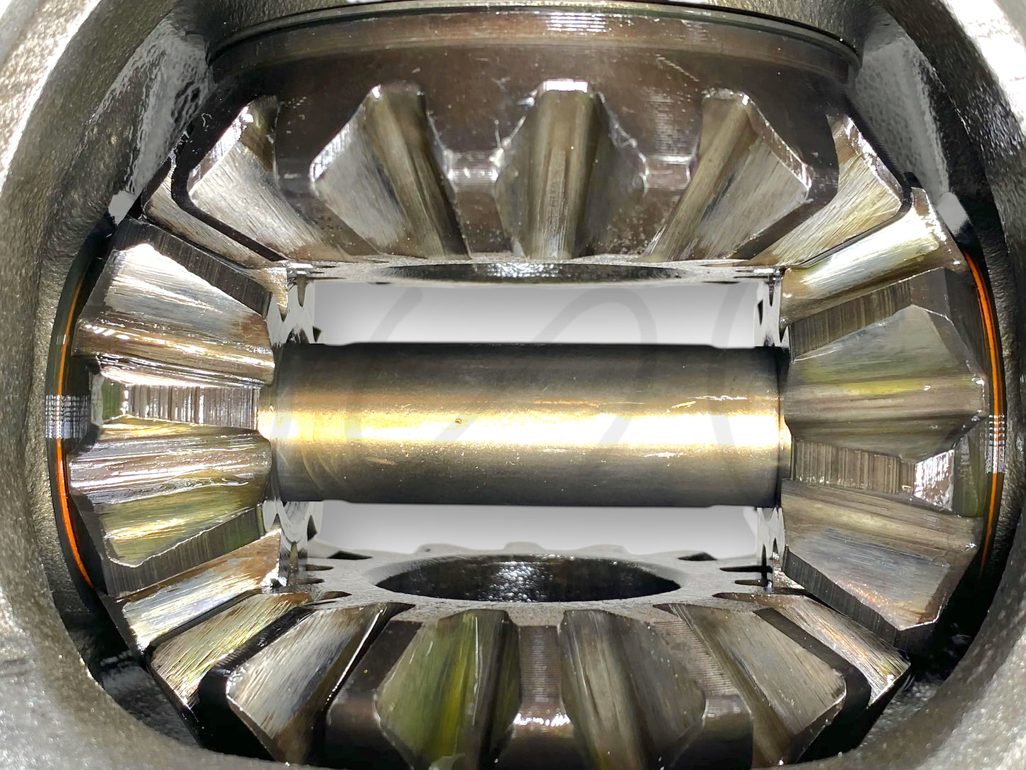 99-04 Ford F250 F350 DANA 60 Front Axle Differential Diff Carrier Open 42969