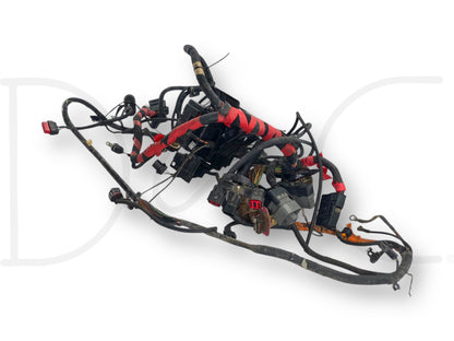 2000 Ford F250 F350 7.3 Diesel ZF6 Front Body Wiring Harness YC3T-12A581-P260F
