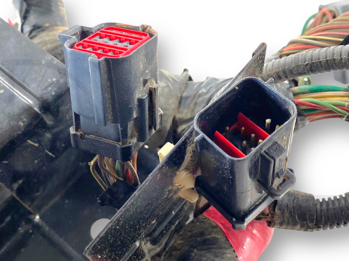 02 Ford F250 F350 7.3 Diesel ZF6 Front Body Wiring Harness 2C3T-12A581-P260F Gp