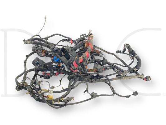 2002 Ford F250 F350 7.3 Diesel Auto Front Body Wiring Harness 2C3T-12A581-P260F