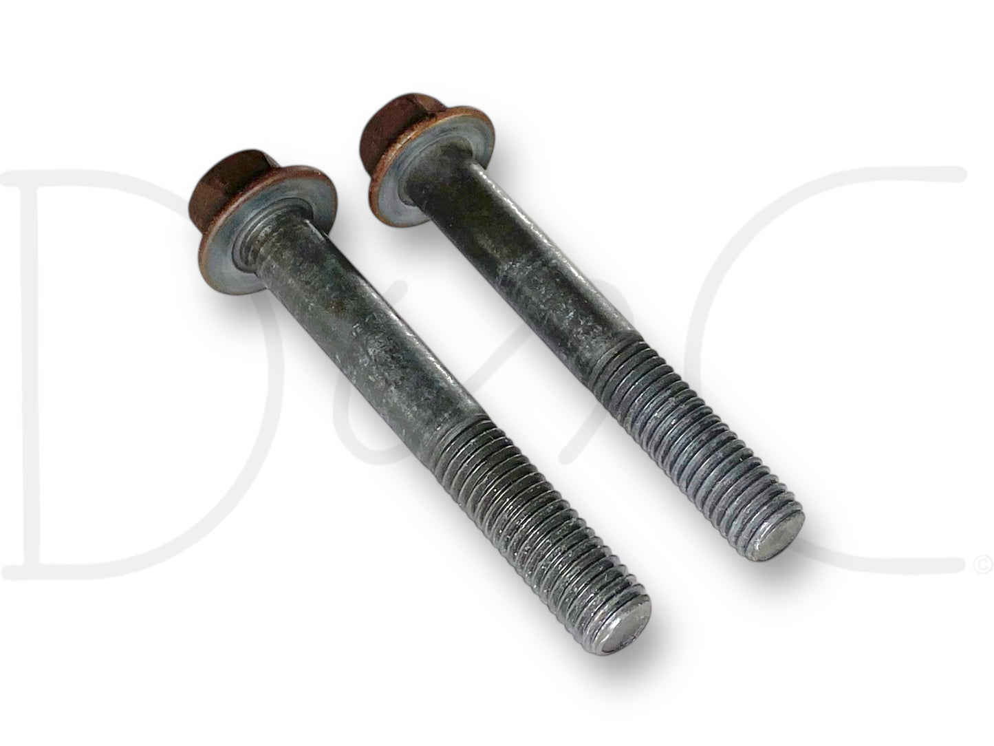 99-02 Ford F250 F350 7.3 7.3L Fuel Filter Bowl Housing Mount Bolts OE Bolt Set