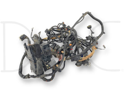 04 Ford F250 F350 6.0 Front Body Engine Bay Wiring Harness 4C3T-12A581-P260F Amf