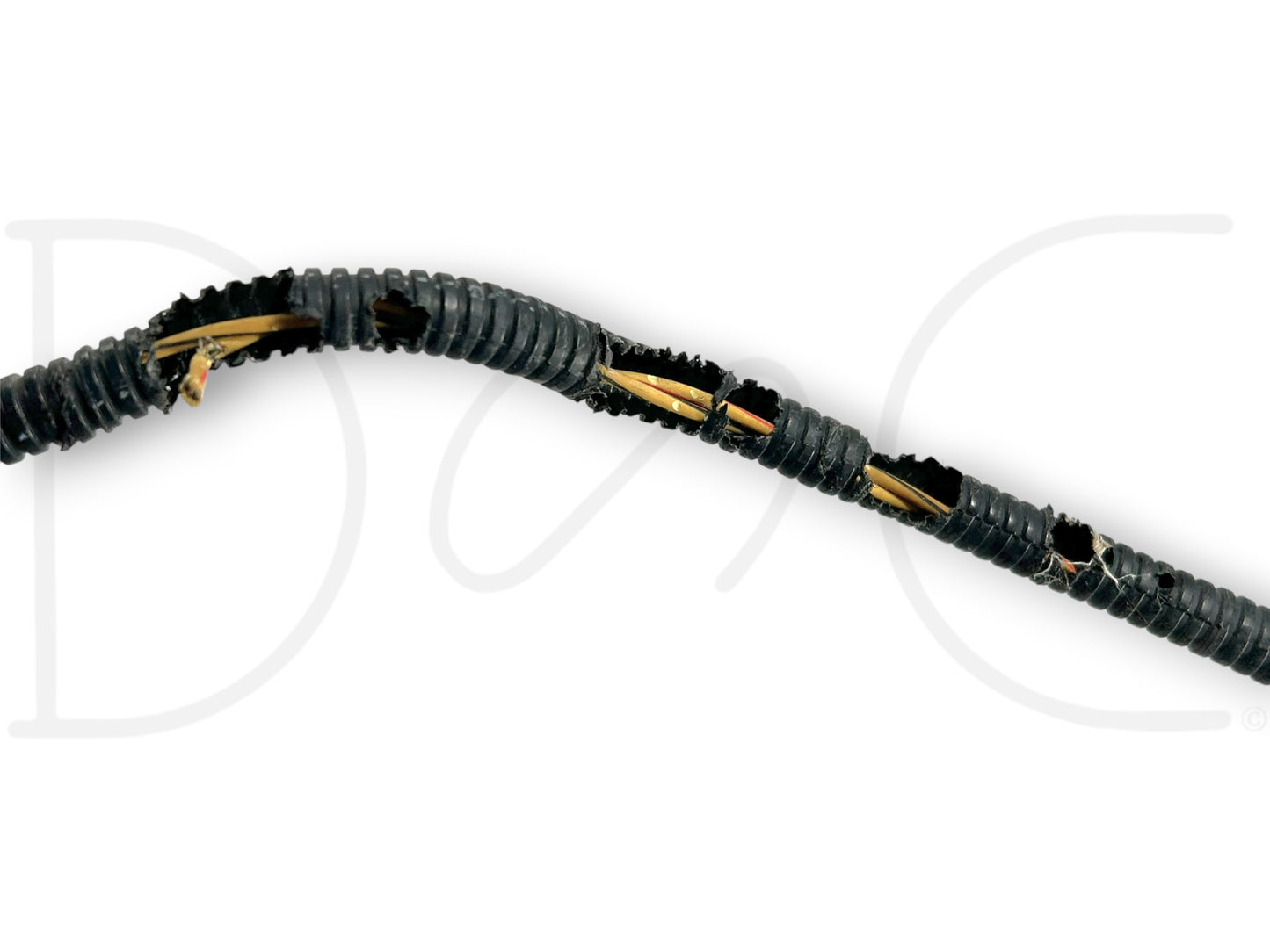 2004 Ford F250 F350 6.0 Front Body Engine Bay Wiring Harness 4C3T-12A581-P260F