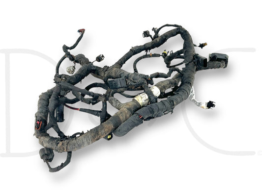 05-07 Ford F250 F350 OEM 6.0 6.0L Diesel Engine Wiring Harness 1855214C91