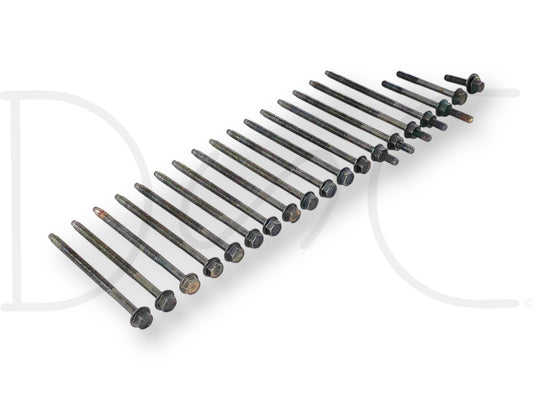 05-07 Ford F250 F350 6.0 6.0L Intake Manifold Bolts Bolt Set 19 Pc OEM laid out in a row, used with light wear, compatible with 2005-2007 Ford Super Duty Powerstroke trucks.