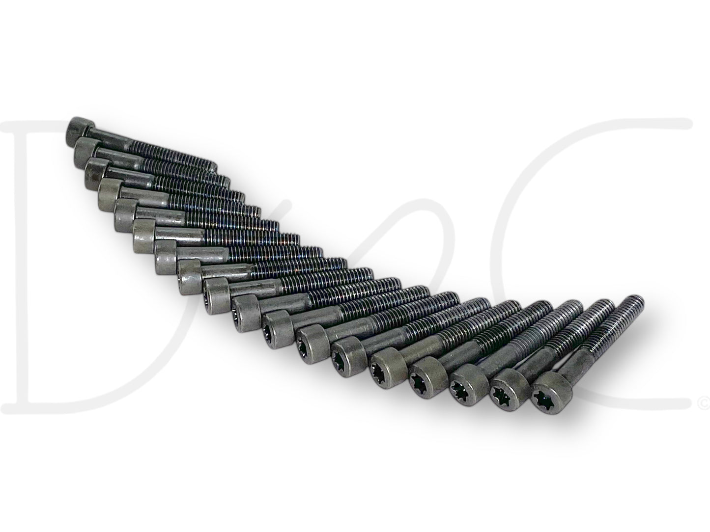 04-07 Ford F250 F350 6.0 6.0L Diesel Oil Rail Bolts OE Bolt Set Torx 18 Pc, used with light wear, arranged in a neat row showing dark metal Torx head bolts for Powerstroke diesel engines.