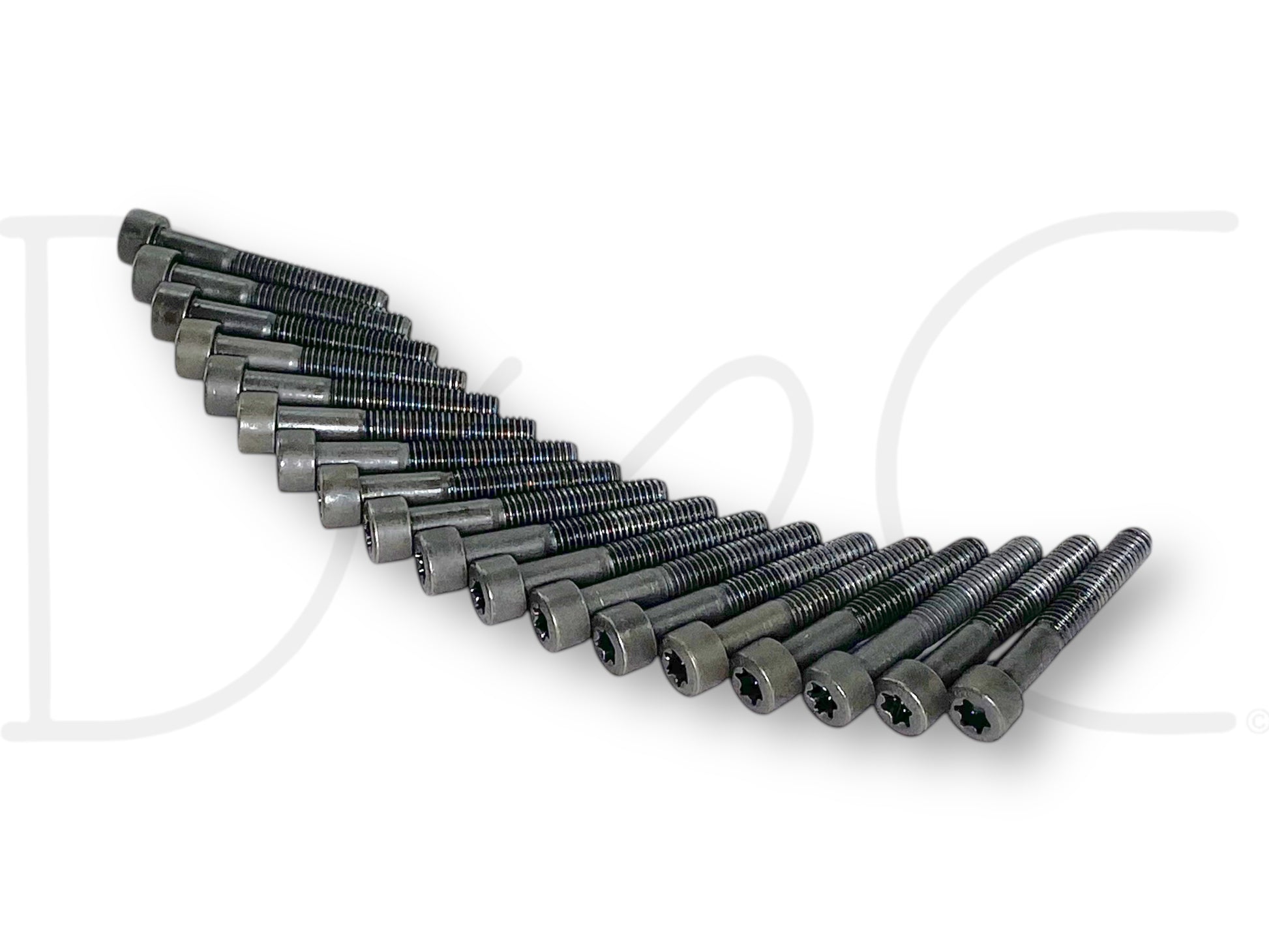 04-07 Ford F250 F350 6.0 6.0L Diesel Oil Rail Bolts OE Bolt Set Torx 18 Pc, used with light wear, arranged in a neat row showing dark metal Torx head bolts for Powerstroke diesel engines.