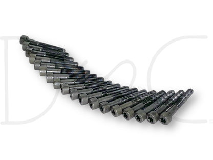 04-07 Ford F250 F350 6.0 6.0L Diesel Oil Rail Bolts OE Bolt Set Torx 18 Pc, used with light wear, arranged in a neat row showing dark metal Torx head bolts for Powerstroke diesel engines.
