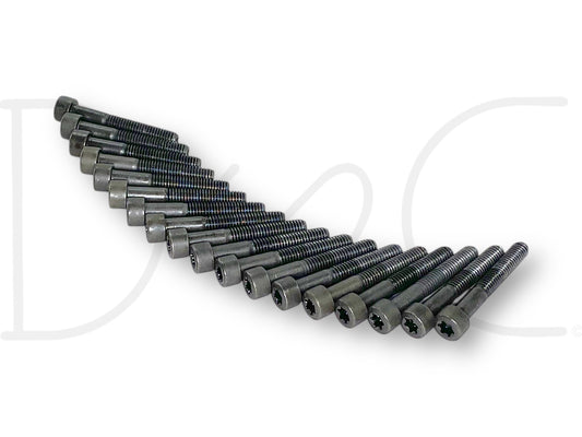 04-07 Ford F250 F350 6.0 6.0L Diesel Oil Rail Bolts OE Bolt Set Torx 18 Pc, used with light wear, arranged in a neat row showing dark metal Torx head bolts for Powerstroke diesel engines.