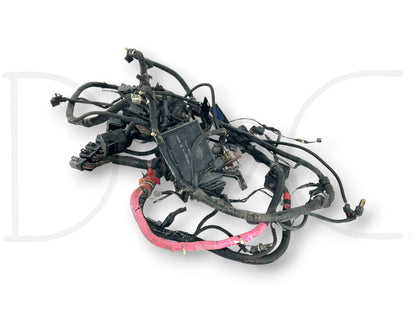 00-01 Ford F250 F350 7.3 Diesel Auto Front Body Wiring Harness 1C3T-12A581-P260F