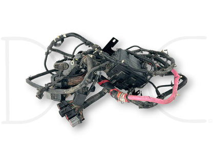 00-01 Ford F250 F350 7.3 Diesel Auto Front Body Wiring Harness 1C3T-12A581-P260F