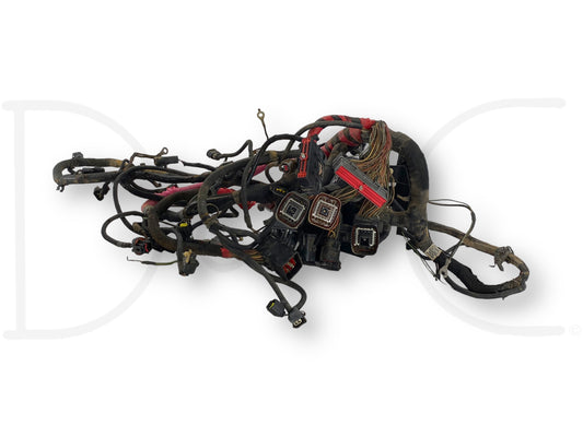 2001 Ford F250 F350 7.3 Diesel Auto Front Body Wiring Harness 1C3T-12A581-P260F